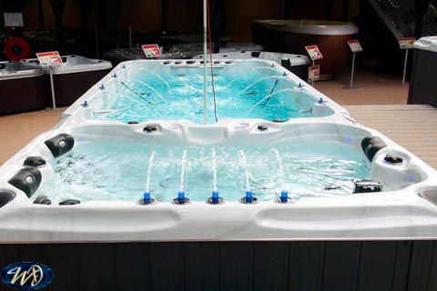 swim spa dual temp